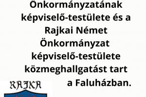 közmeghallgatás