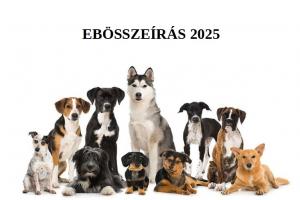 ebösszeírás